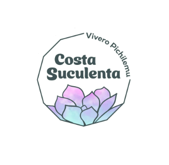 Costa Suculenta Vivero